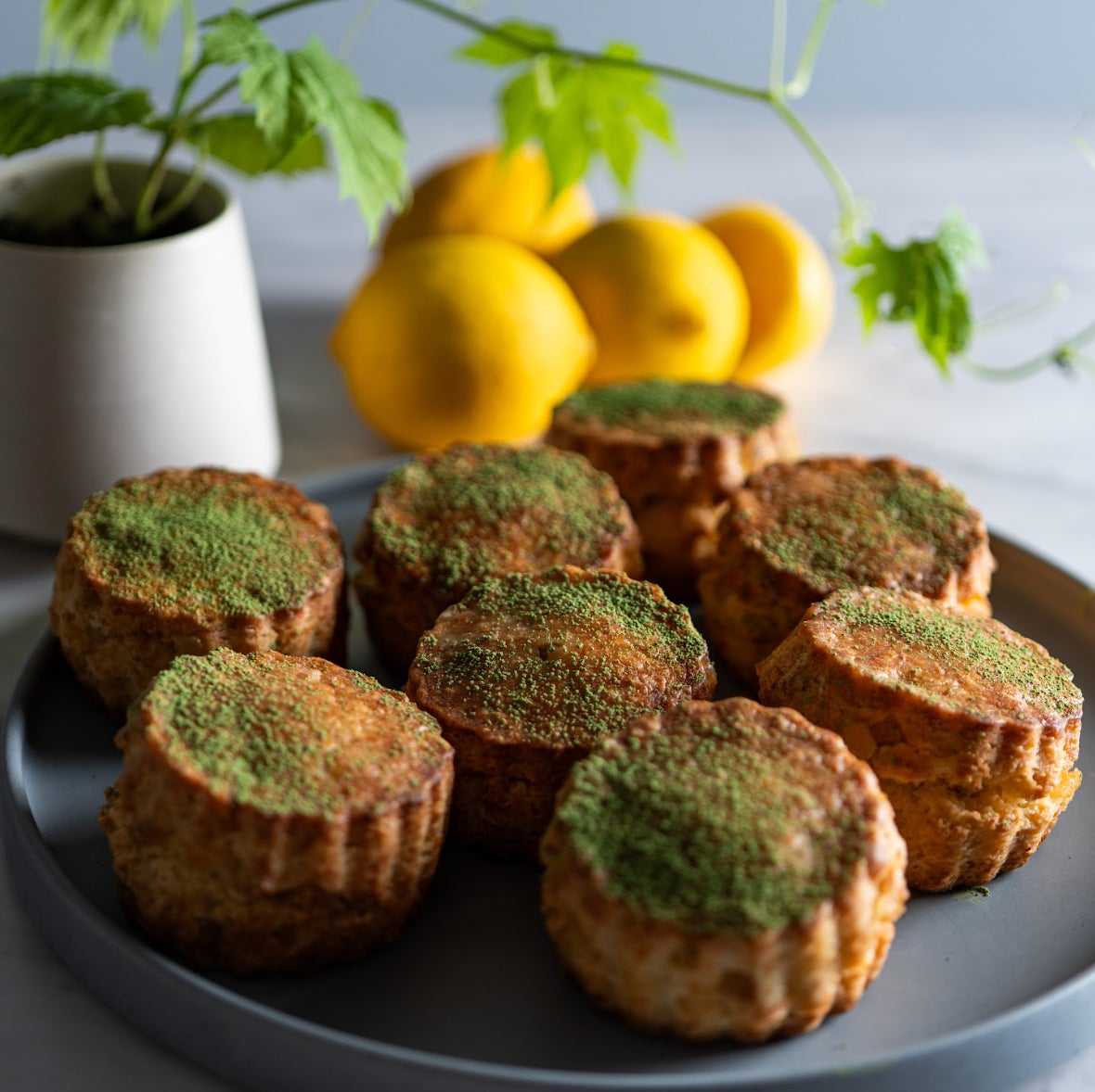 【横浜高島屋】　梅雨も真夏日も爽やかに！みずみずしくフレッシュな柑橘グルメでリフレッシュ！＜CITRUS PARADE（シトラスパレード）＞開催！