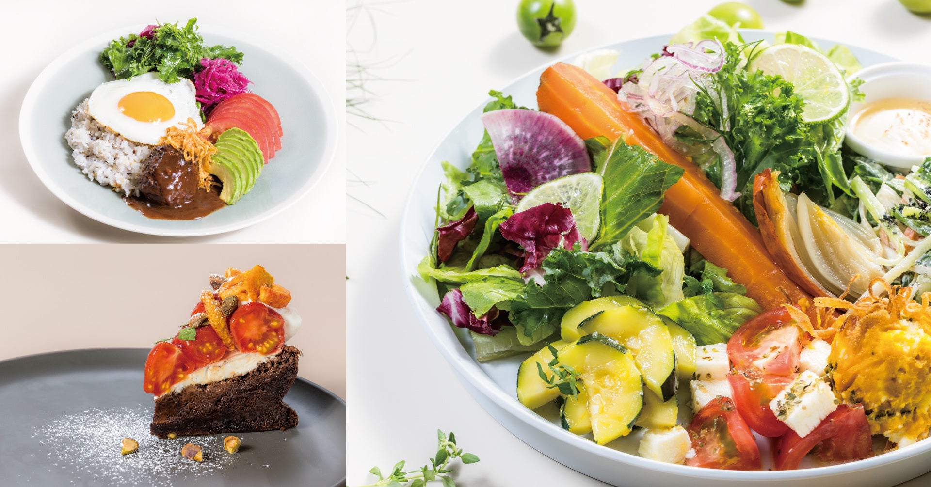 【四十八漁場】四国を味わい楽しむ産地フェア～高知県須崎より九石大敷組合をパートナーに迎え新たな展開へ～