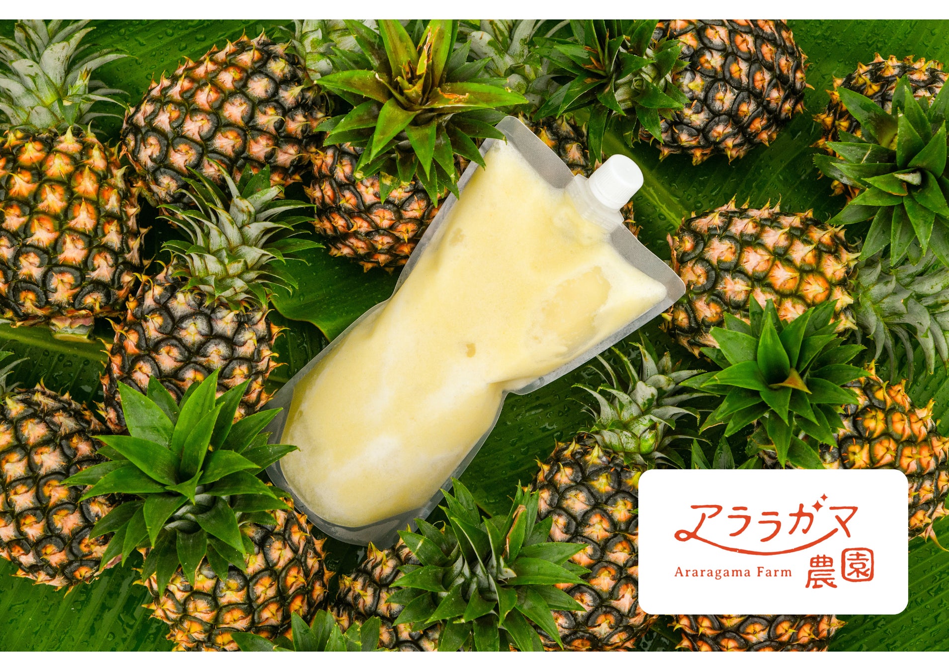 ファンと社員がつながる場「ニチレイほほえみテラス」始動！