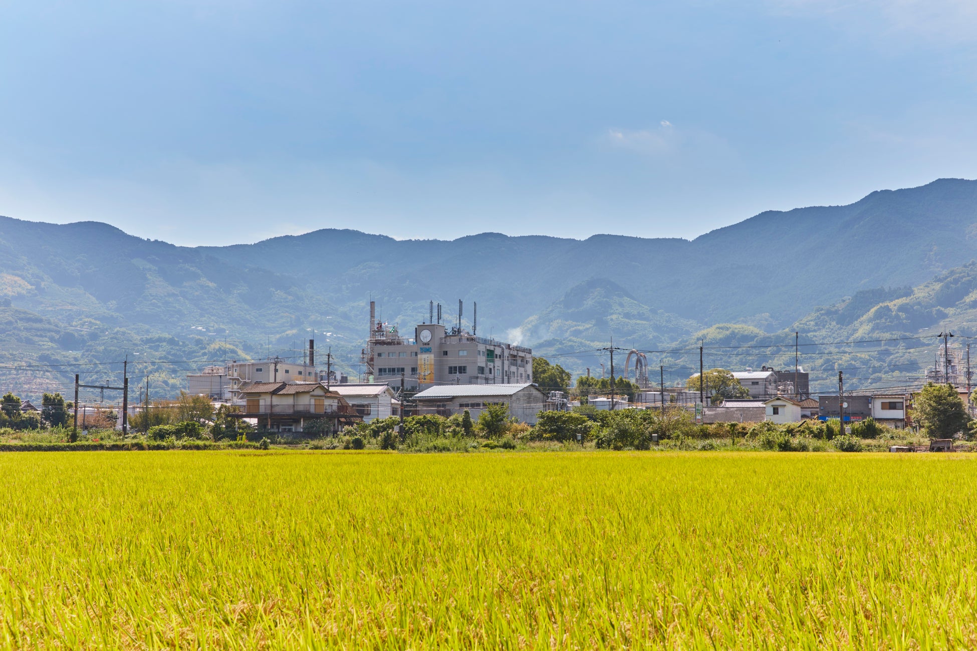夏の水分補給に”だし”をご提案。「旨味豊かな昆布だし だしで整う」フェア6月16日（月）より開催！【久世福商店】