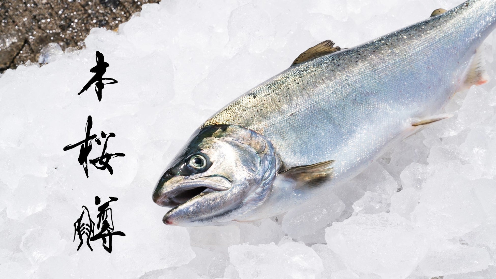 【愛知県に新店舗】〜本格派りんご飴を日本の文化へ〜代官山Candyapple、イオンモール長久手店が2025年7月3日にグランドオープン！