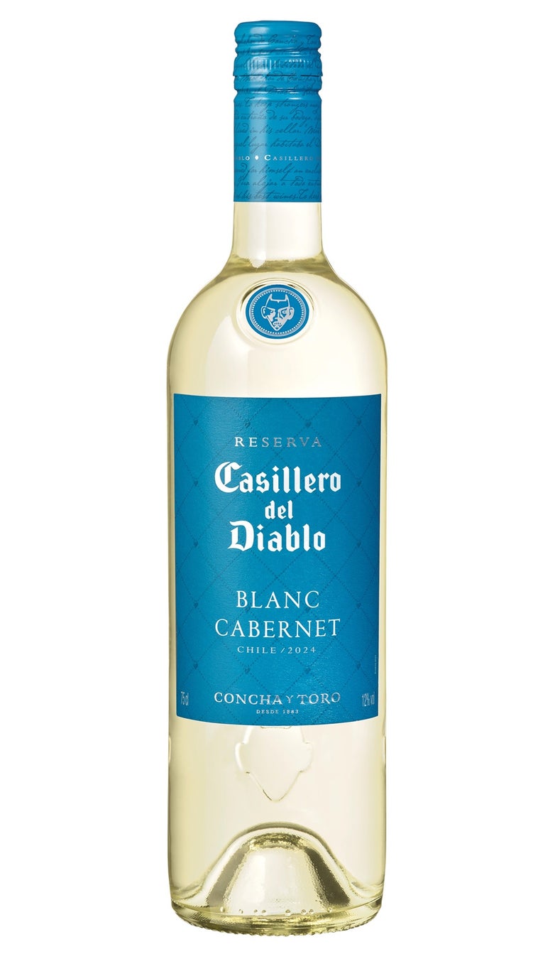 「面白いことがしたい！」その情熱だけで集まった46社が学びのコラボ「第3回おかしなサマースクール」7月21日(月・祝)から開催