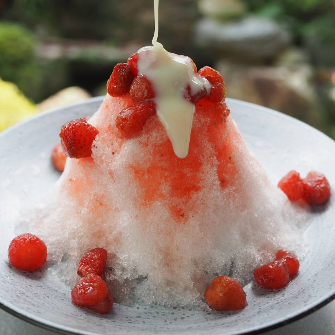 和牛や日本酒、発酵食品、ハラール対応食品、ヴィーガン食品など、輸出に特化した日本の食品が集結する展示会が 7月東京で開催