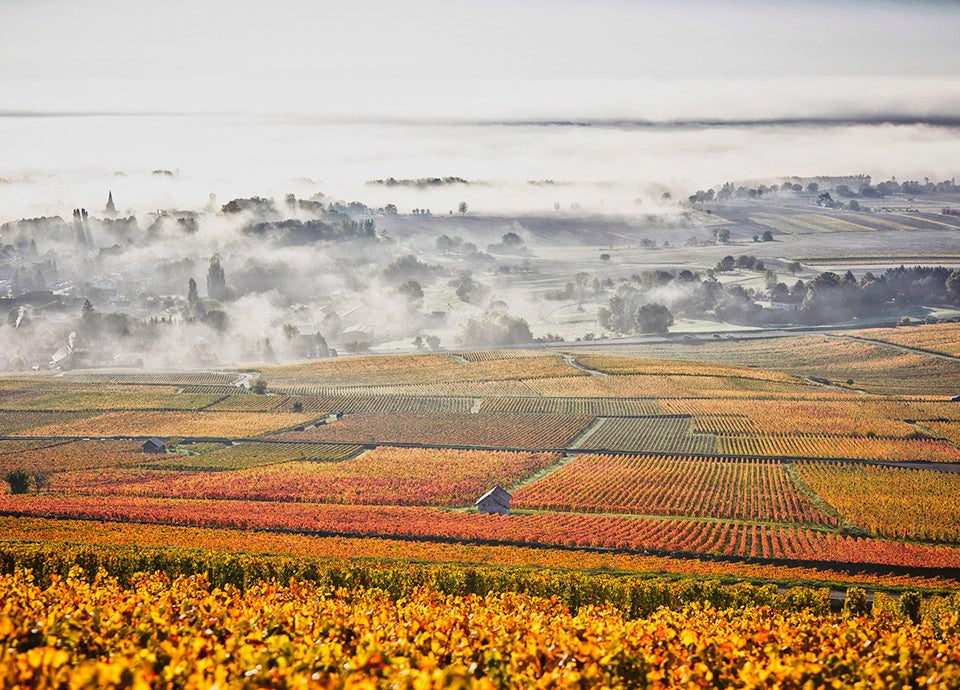 【実施報告】インフィニア株式会社が痴漢撲滅に向けた地域連携の取り組みに参加、メイドが万世橋警察署の道場で護身術も習得