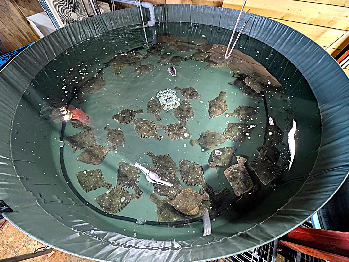 120年の歴史を誇るソーダストリームの最高傑作　クラフトマンシップ・モデル「ensō(エンソウ)」よりマットな質感が魅力の新色“マットブラック”と“マットサンド”新発売