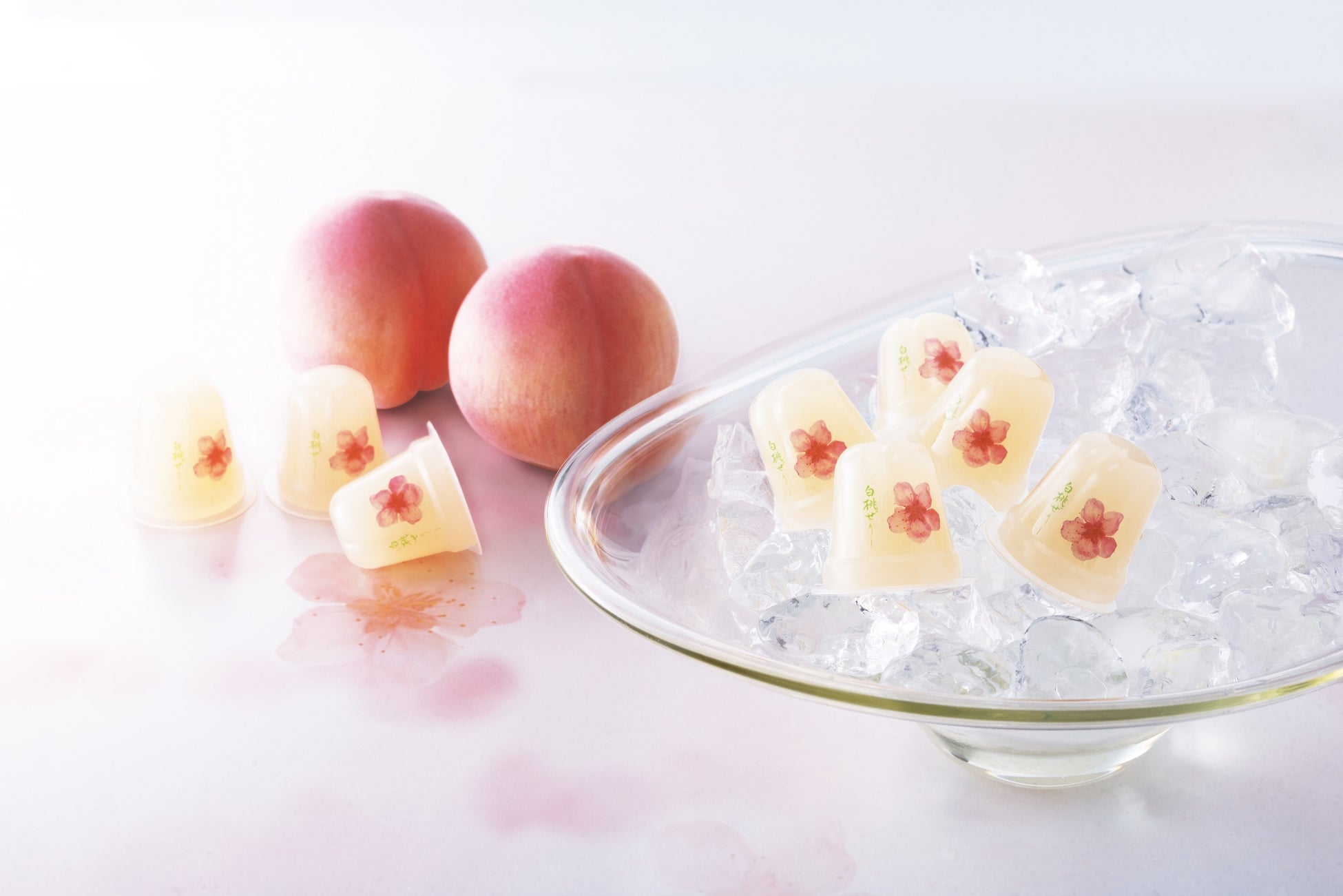 祈りと共生の空間「AUNCOFFEE ROSTERS」難波八阪神社そばに2025年6月14日グランドオープン（インクルーシブ・カフェ）