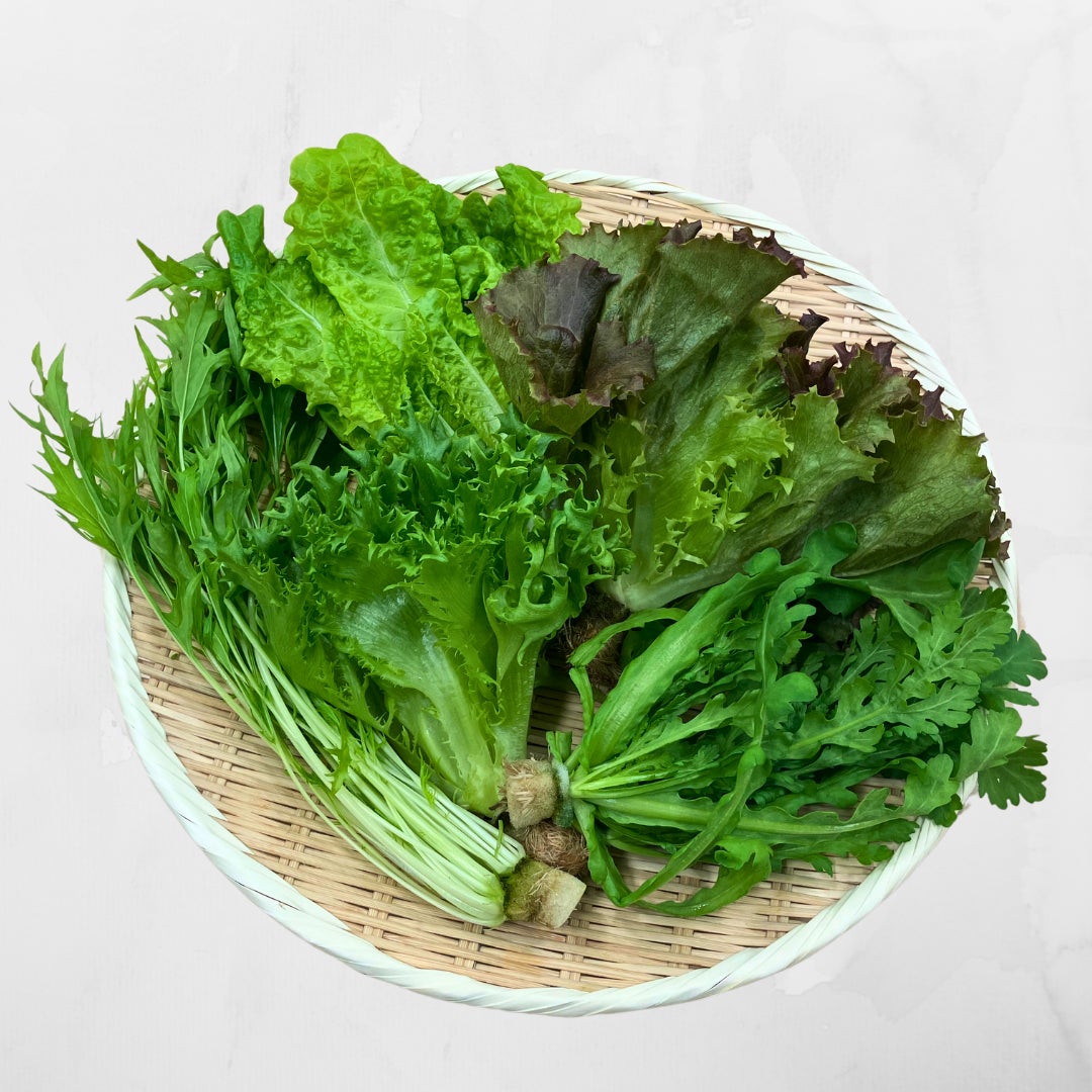 ダブルツリーbyヒルトン大阪城 7月1日(火)より開業1周年セレブレーションビュッフェ ~食の世界旅行~ を提供開始