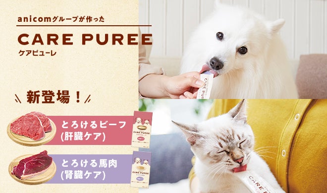 【紅茶党必見】食べるピーチティー？！〈桃 × 紅茶〉スイーツ ♪冷蔵と冷凍の2WAYで楽しむ、冷やしておいしいチーズタルトが新登場！夏季の “おうちカフェ” にぴったりな「ピーチアールグレイ」風味に