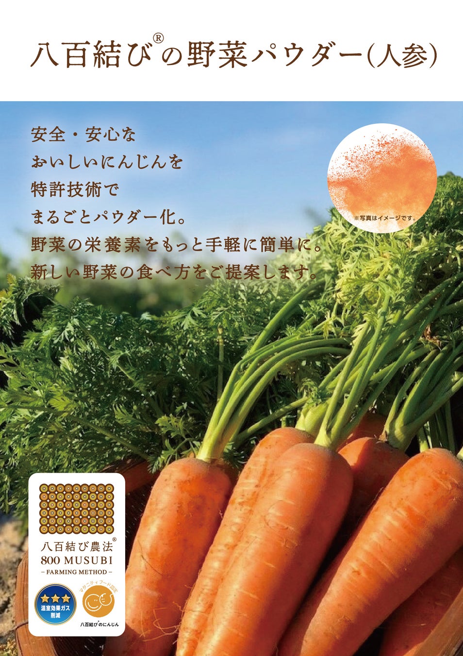 【ロイズ】いよいよ見頃！7月にかけてローズガーデンのバラが最盛期を迎えています。ガーデン散策＆スイーツを楽しんで。