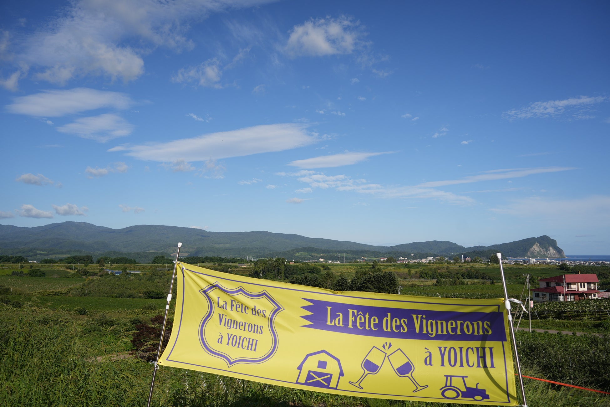 暑い夏のキッチンで消費電力が大きい“冷蔵庫” 節電がかなう冷蔵庫の省エネ術を公開　『夏の家事に関する調査』