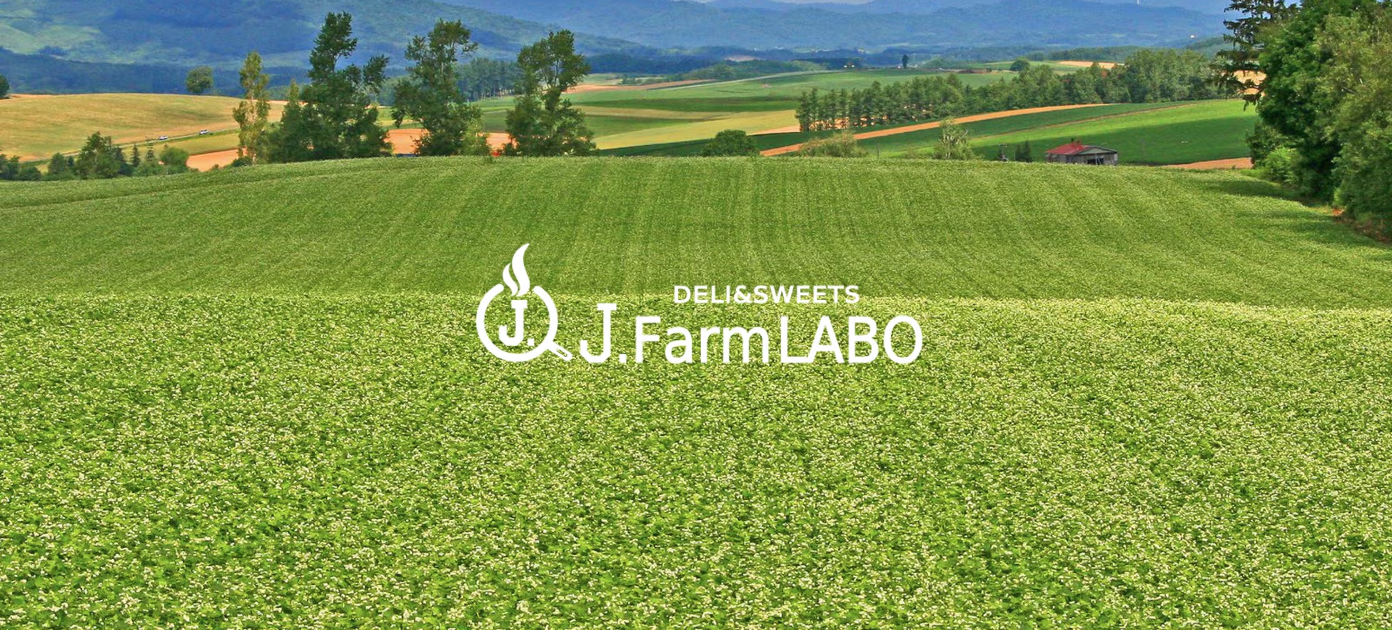 フルッタフルッタのアサイー使用　ファミリーマート限定ヨーグルトドリンクが6月下旬より新発売！！