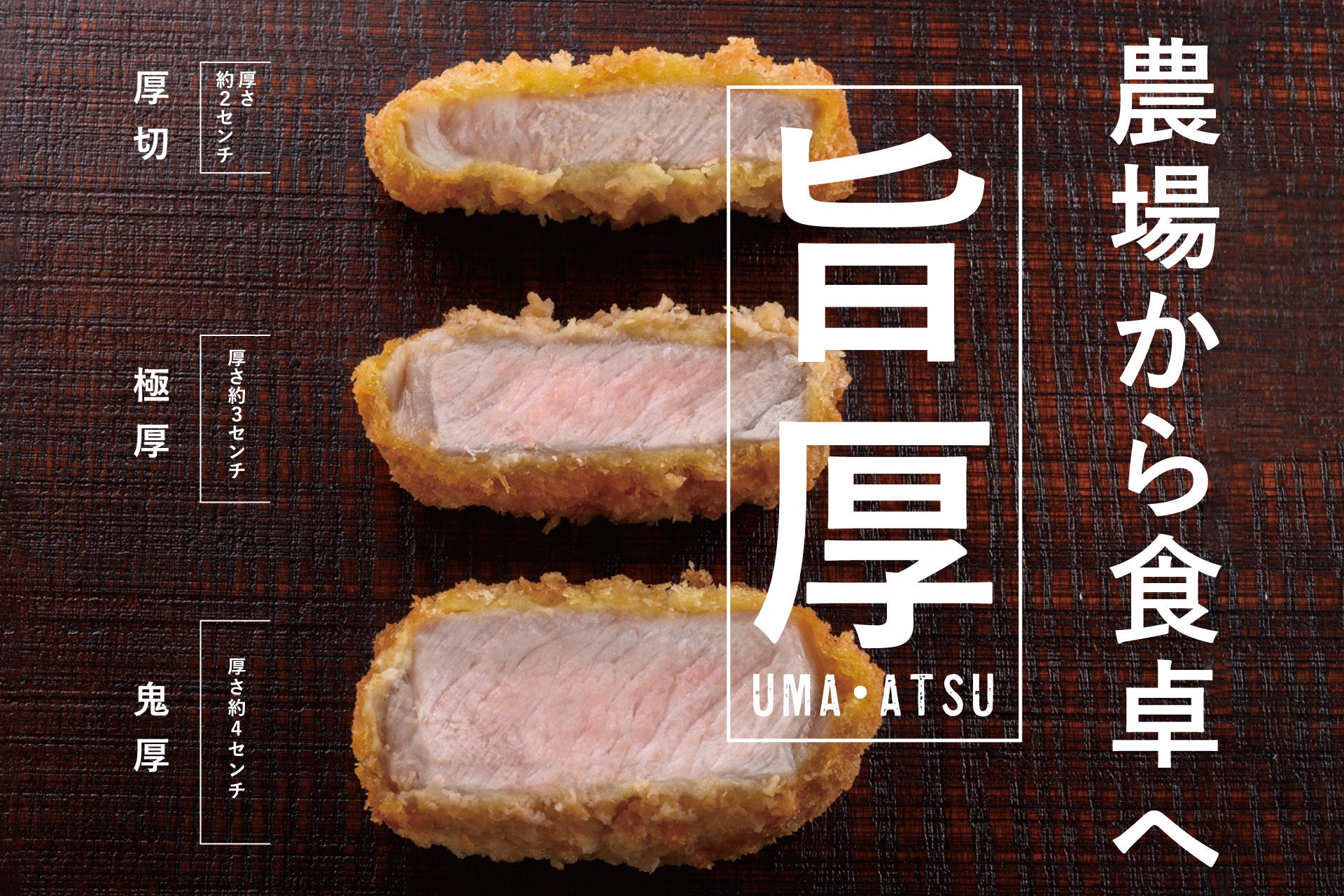 「サッポロ ニッポンのシン・レモンサワー 爽やか香るレモン」 6月24日(火)数量限定発売