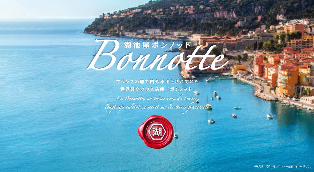 神戸最大級のフードホール「TOOTH MART」に、純氷を使用したフワフワ食感のかき氷専門店『氷処 新港堂』が6月27日（金）よりオープン！