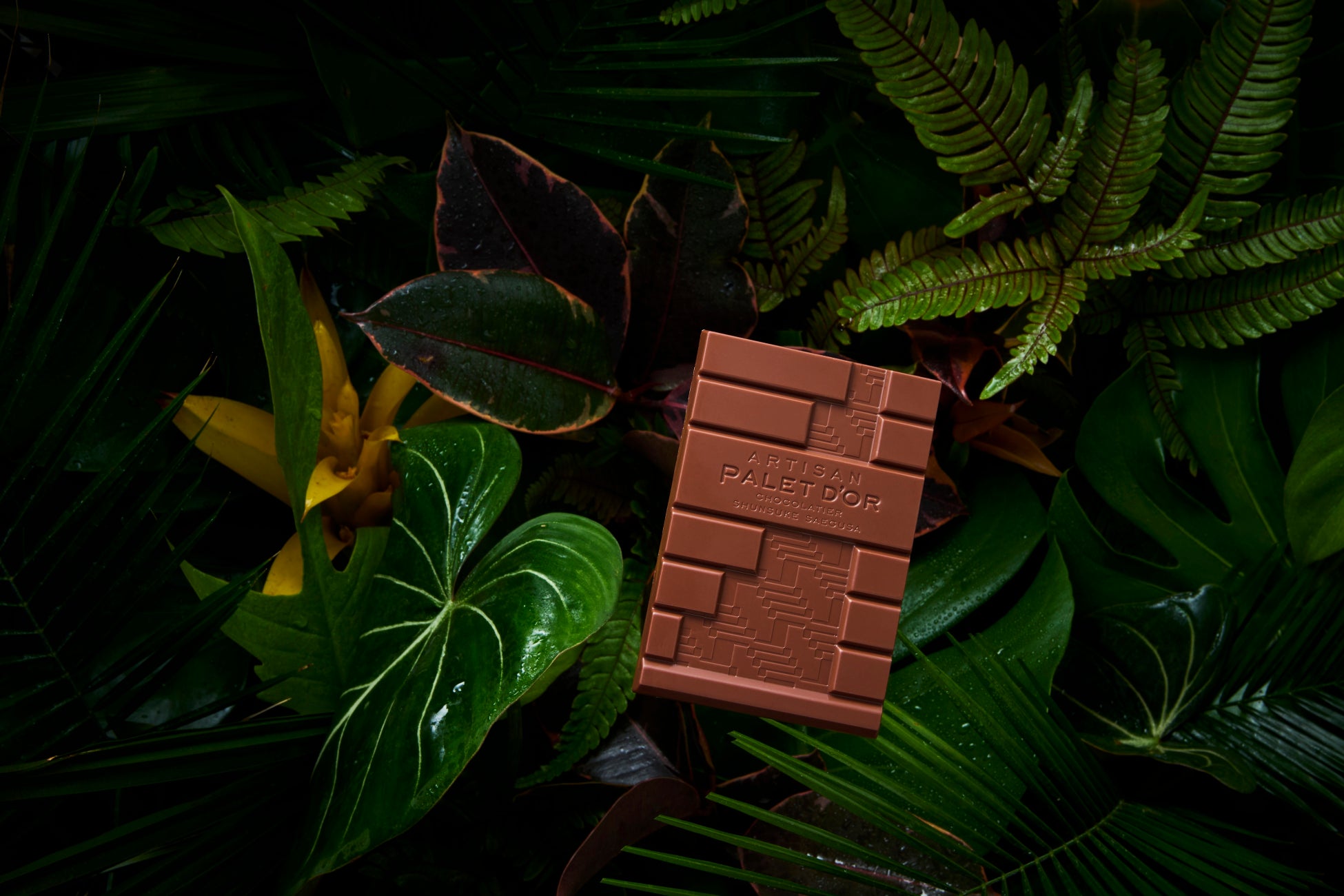 白鶴酒造から「itoshiro（いとしろ）トーンアップ UVベース」【サロン専売品】新発売！　～発酵美容の新境地へ～