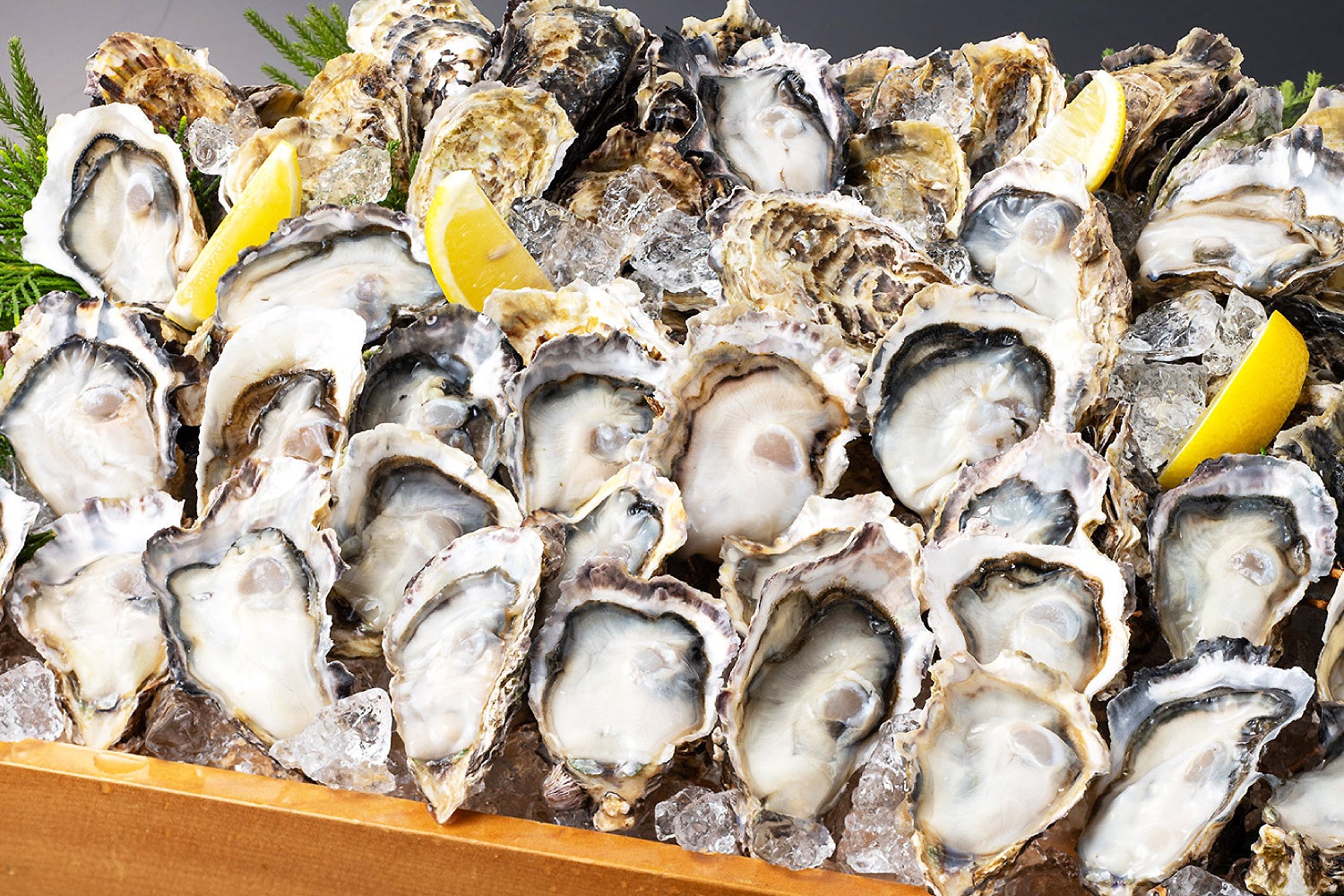 ただいま、名古屋。「TOKYOチューリップローズ」がフルリニューアル後、東海地方に初登場!夏スイーツの祭典〈アムール・デュ・ガトー〉へ