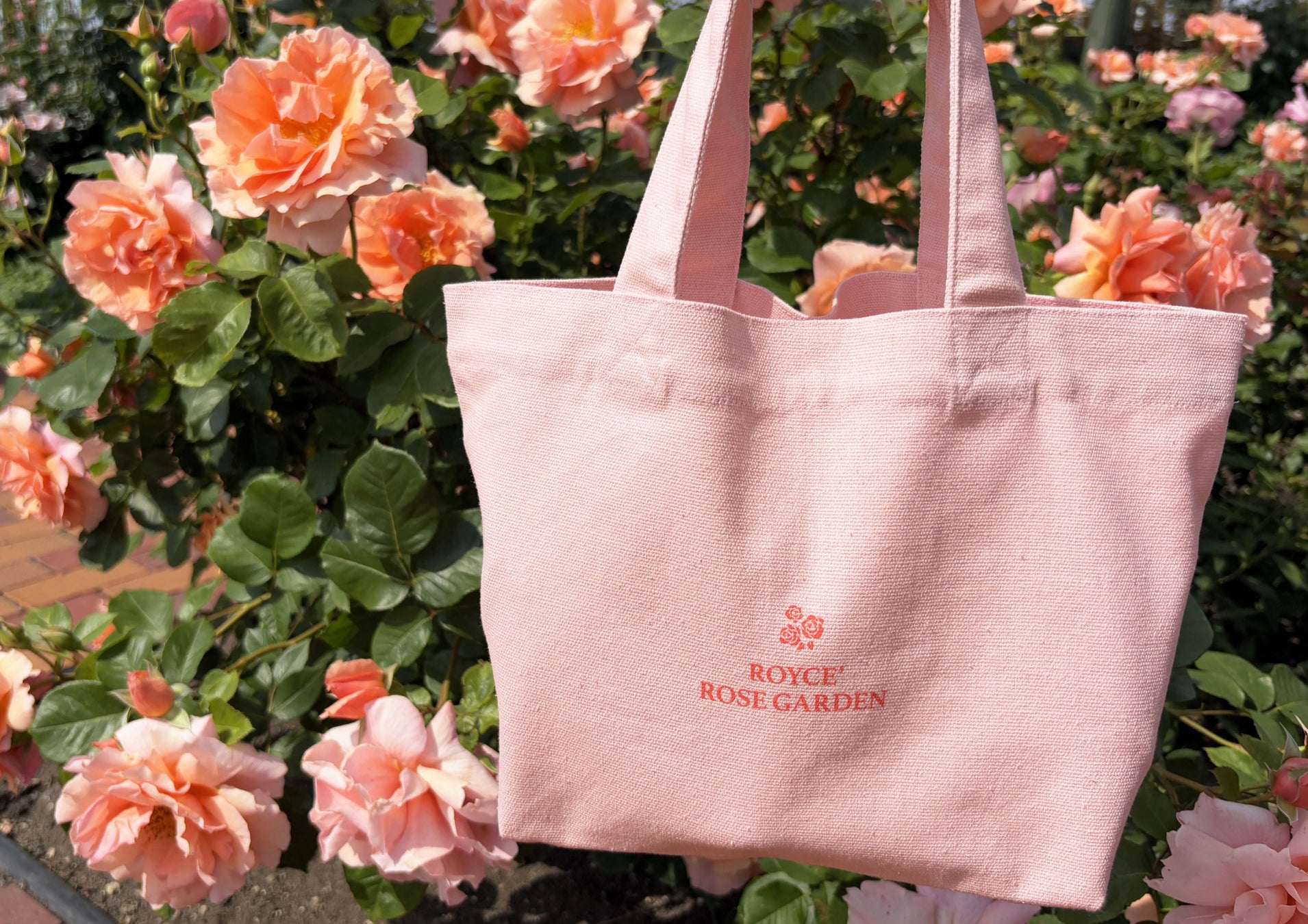 今春リブランド【キャラメルゴーストハウス】から期間限定の新たな味わい「キャラメルサンドクッキー オレンジ」が新発売。