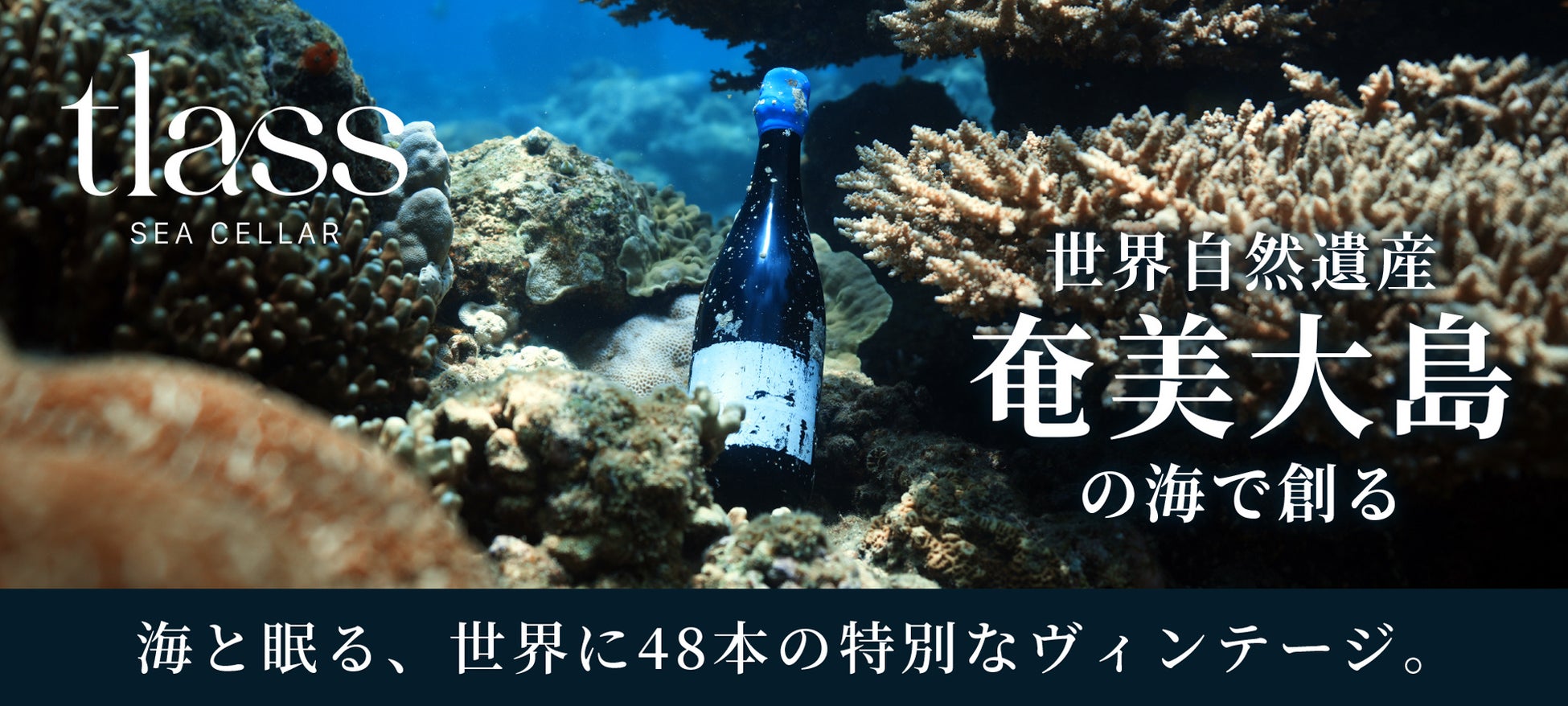 C2機関×DMM共同プロジェクト「code:831」カゴメ株式会社とのコラボレーション「栄養訴求型トマト」3種を6月24日(火)より販売開始!