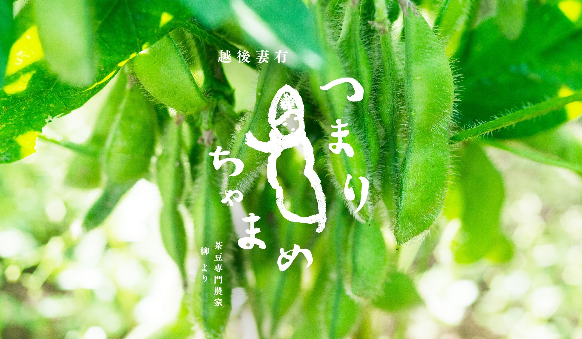 大阪ローカルパン屋で初の川柳コンテスト7月９日(水)から開催！賞品はオリジナル今治タオル