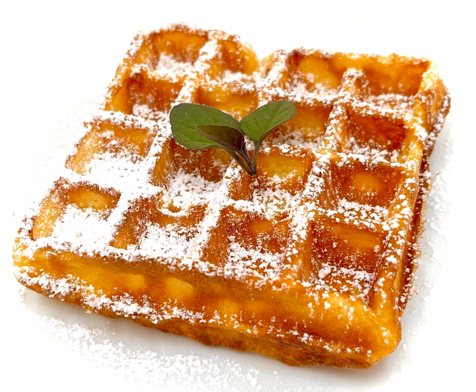 「0秒レモンサワー®仙台ホルモン焼肉酒場 ときわ亭」『屋内BBQ場 TOKIWA GARDEN』7月1日(火)~7月31日(木)期間限定でオープン