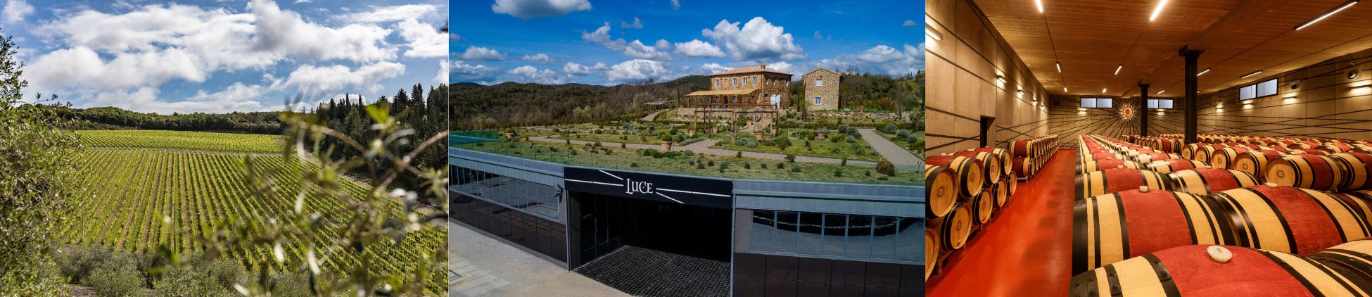 京都の人気かき氷店”お茶と酒　たすき”が新宿の”旅するビアガーデンHello”で1週間限定のポップアップストアストアをオープン！