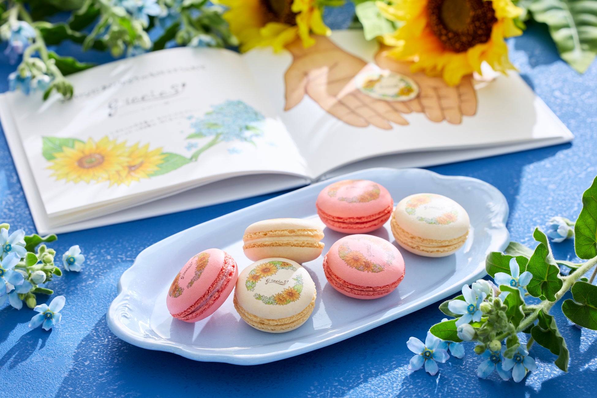 味の素AGFが、未来のファン獲得に向けたアイデアを大学生と共創！「ミラファンプロジェクト」を実施