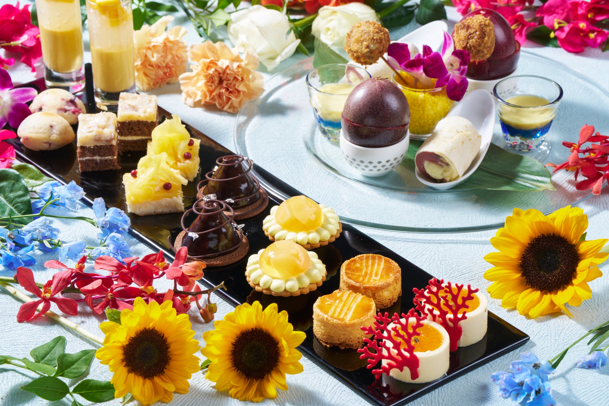 欧州での冷凍機事業拡大に弾み！環境配慮型の冷凍機2シリーズ全70機種の販売を開始