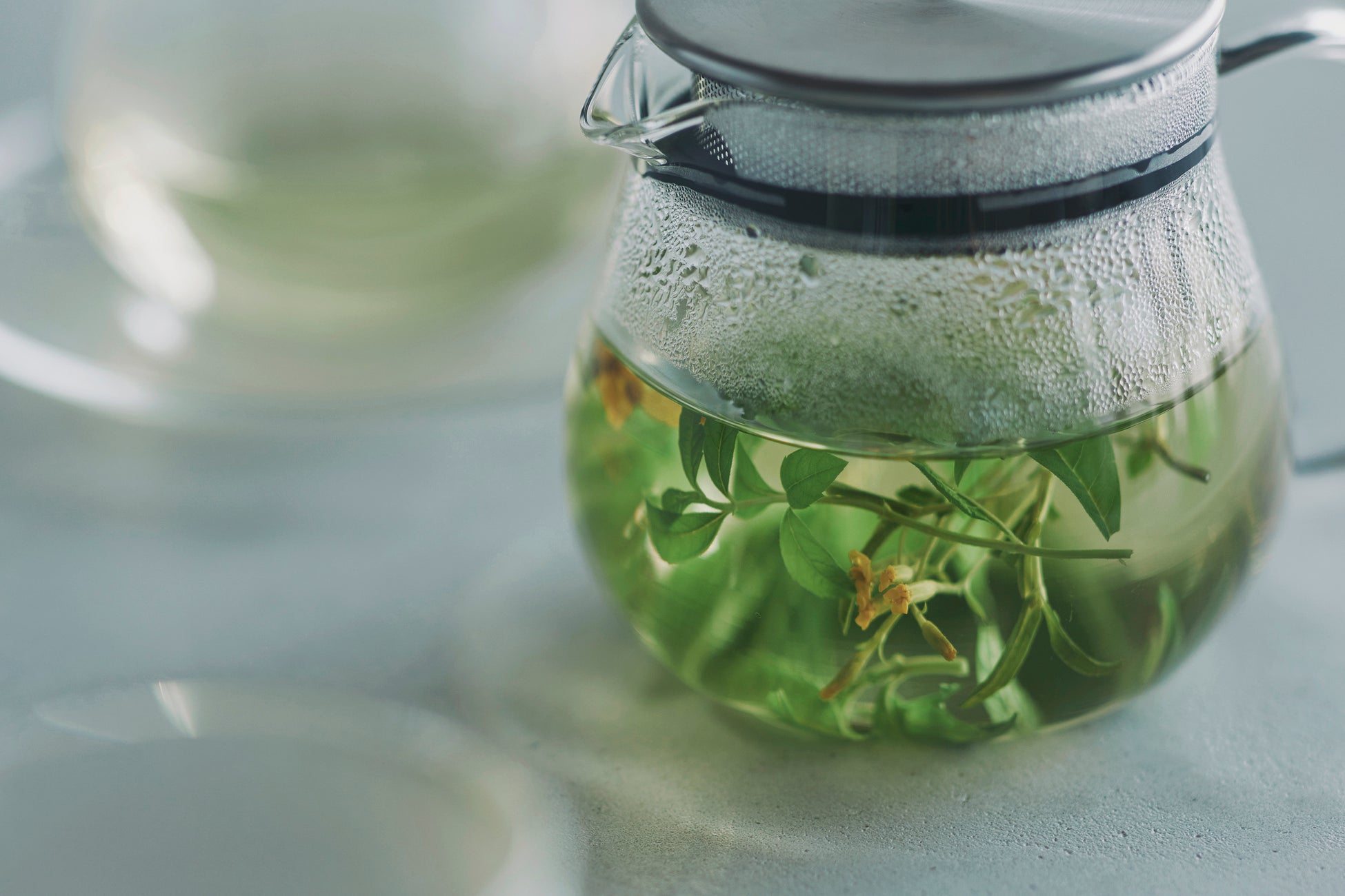 【新発売】手作りシフォンケーキ専門店 This is CHIFFON CAKE. から、ひと口で広がるチョコレートとミントの誘惑『チョコミントシフォン』が登場！