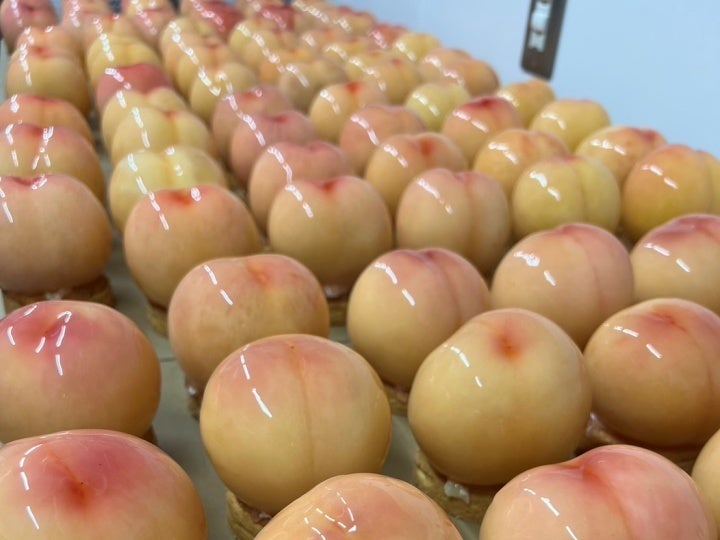 気仙沼かつお漁伝来350年記念「世界でひとつだけの缶詰を作る体験！」