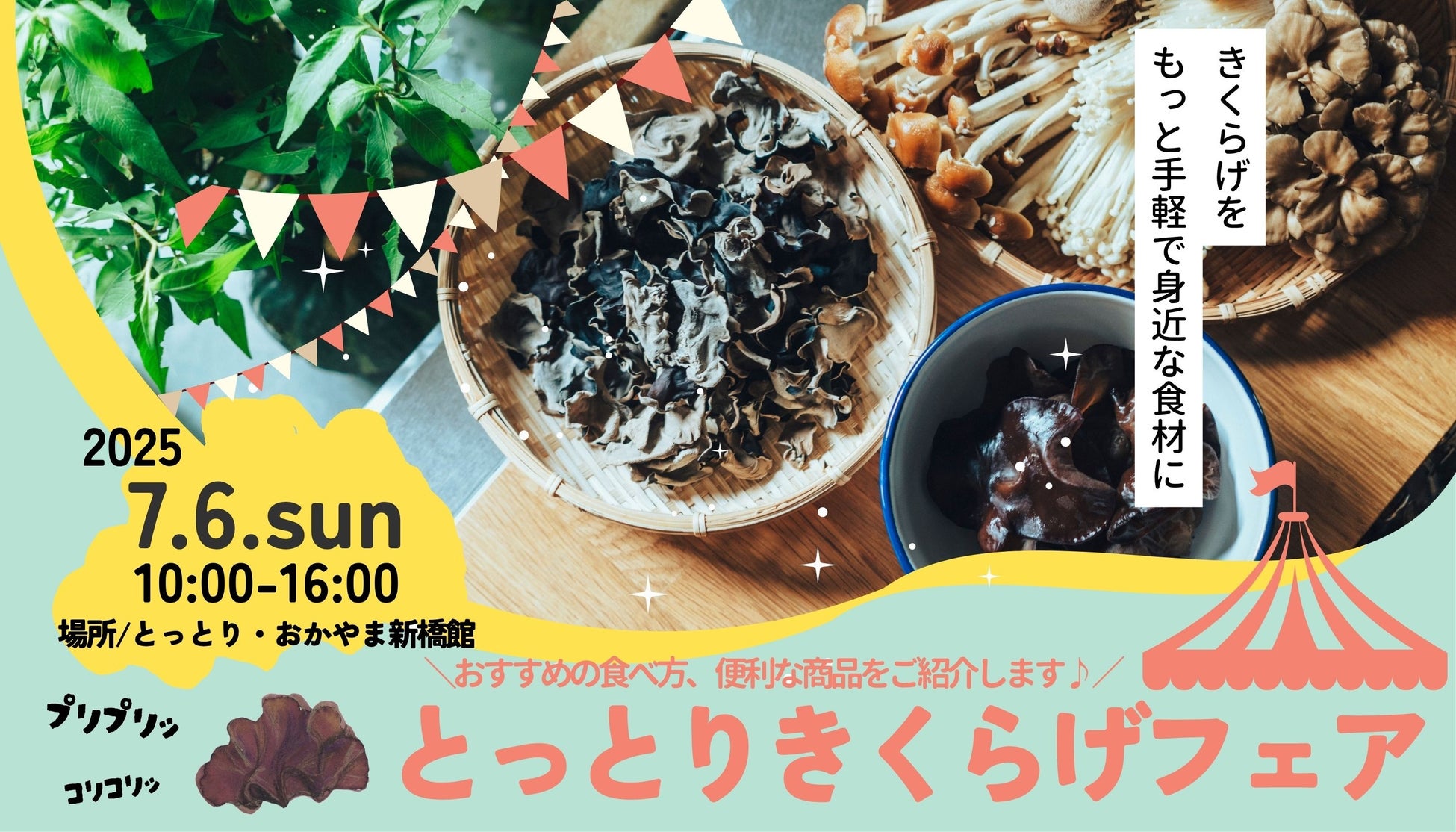 【世界初（※）】AIが気分を読み解きオリジナルカクテルを提供するサービス『mo4cocktail』、東京・四谷三丁目「Studio BAR Mo4ca」でスタート。カクテルレシピはNFT資産で永続保有