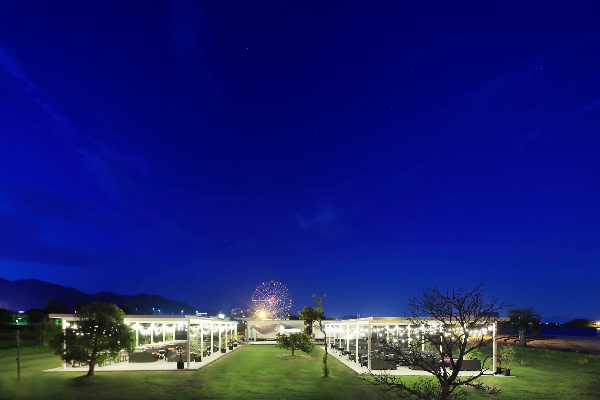 【湯の川温泉/湯元啄木亭】前回大好評で今年も開催!7/12(土)限定まぐろ解体ショーイベント実施!