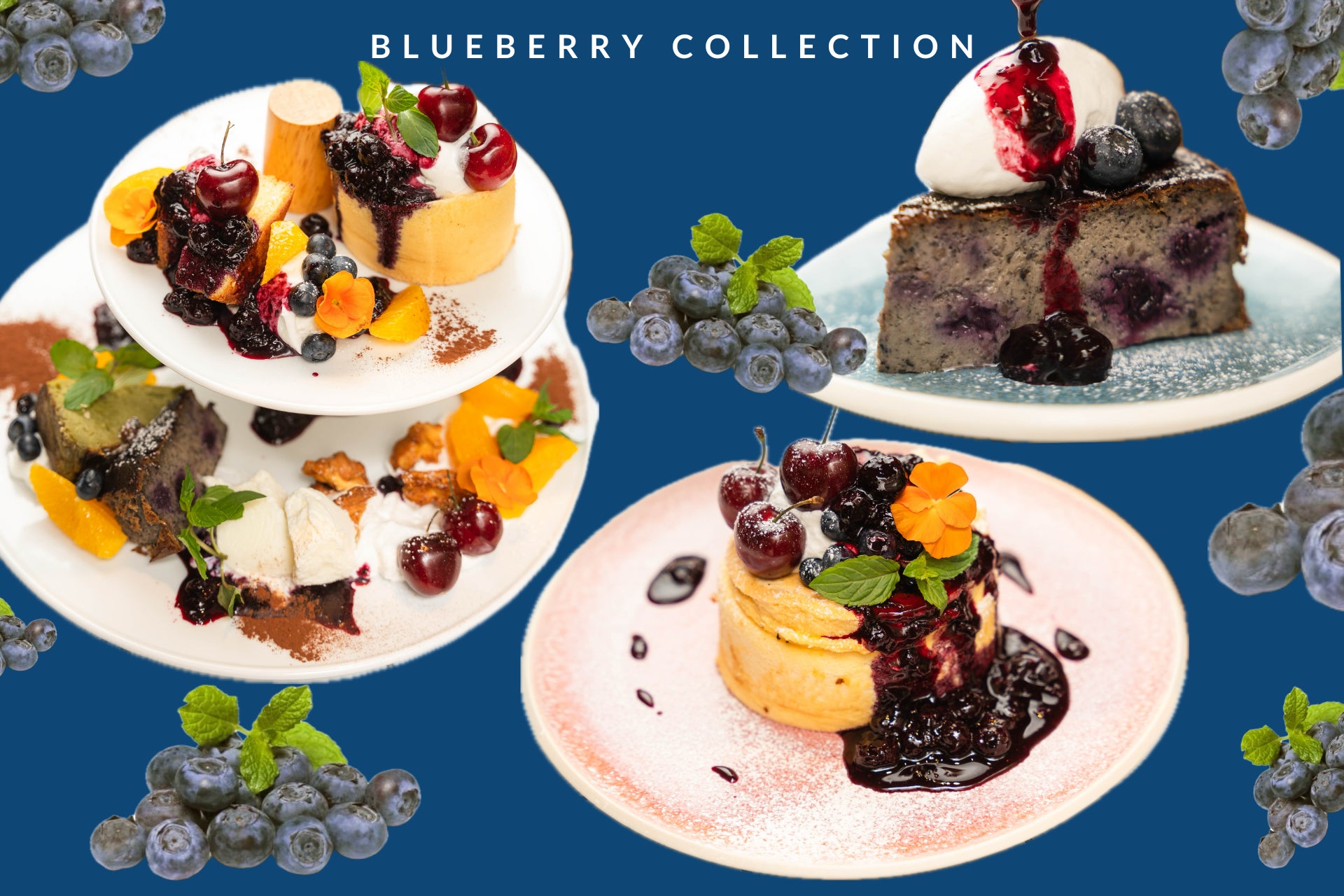 北加賀屋:BBQ奉行 ★ 7月はBBQ場で「暑気払い」を! 涼なキャンペーンを開催《7月末まで》