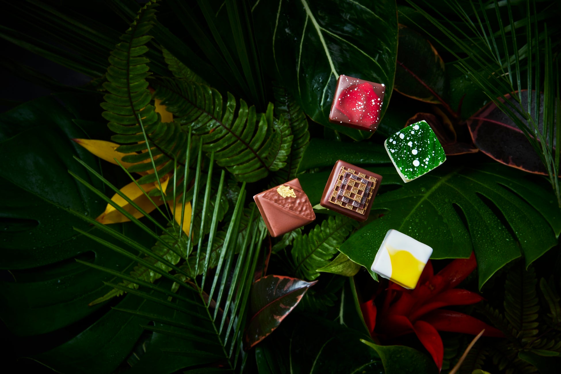 素材にこだわったおいしさ、バラエティ豊かな焼き菓子の詰合せ 「TEA BREAK」東武百貨店 池袋店にて期間限定販売