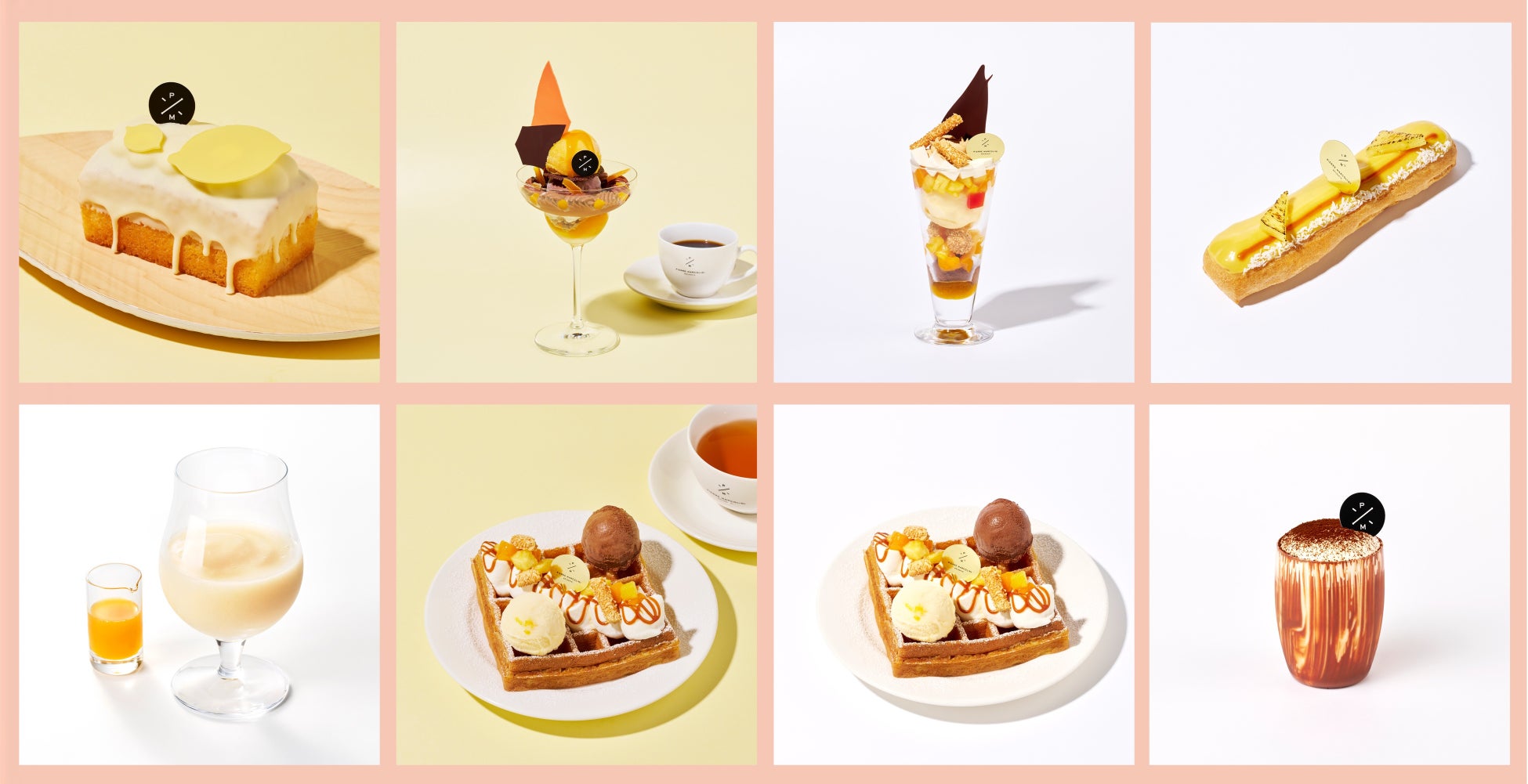 「漁師さんが選ぶ本当においしい魚を使った簡単お魚料理教室」８月８日開催　特別ゲスト・さかなクン　参加親子20組を募集