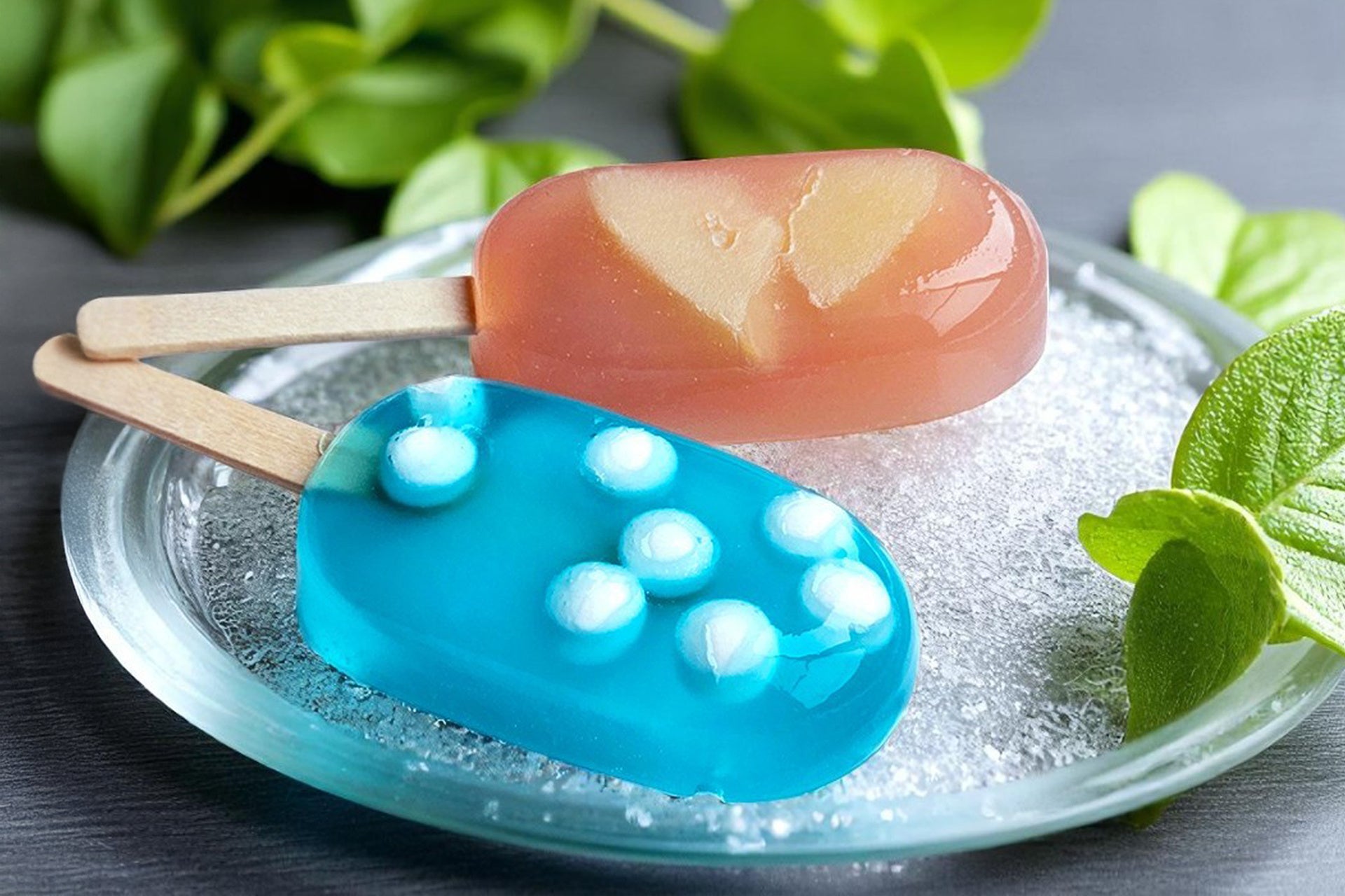 “新潟を味わい、旅する” フレンチコース誕生。新潟駅前「Chareir Rendez-vous」がカウンター限定メニューを7月より提供開始