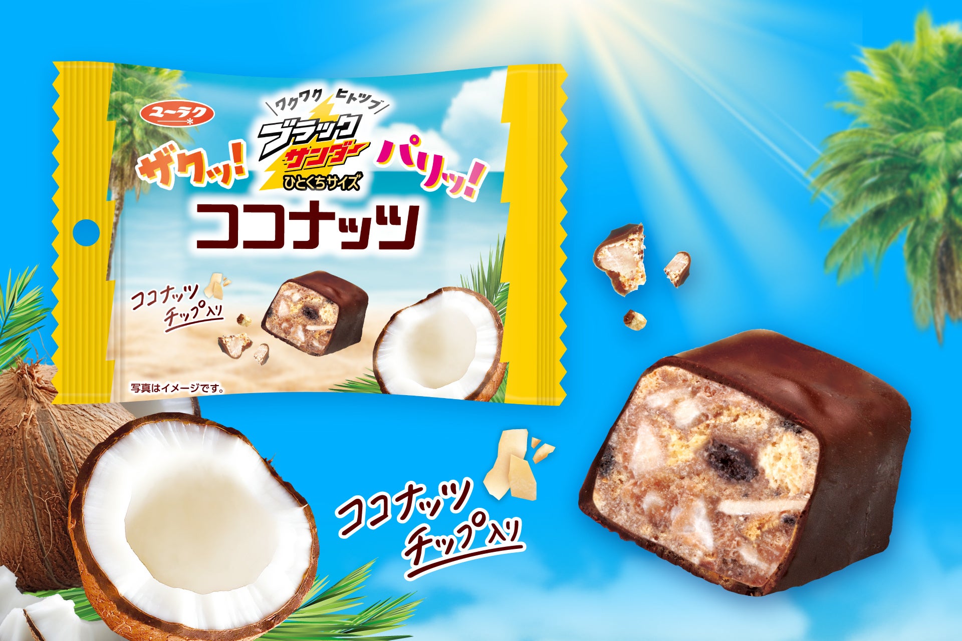 アルロース専門店 カカオ豆100％の『純正オーガニックココアパウダー』を販売開始