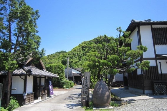 セキセイインコと夏を楽しもう！「セキセイインコの夏祭り」が７/１からSTART！ひんやりスイーツ×ことりたちでこの夏いちばんの癒しタイム♪