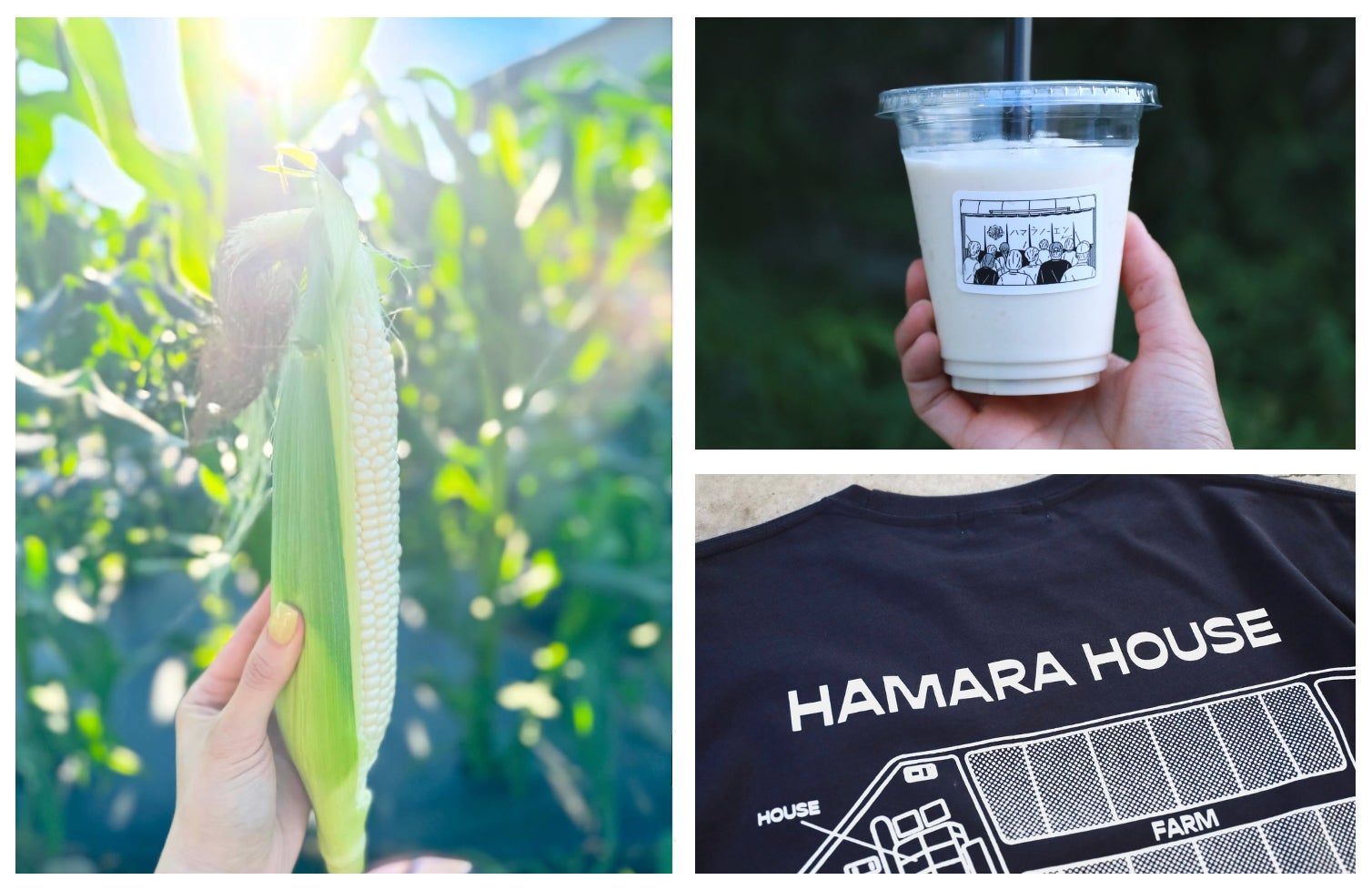 【初登場】「ザ カンパネラ 東京」が髙島屋 大阪店に初出店！新商品の季節限定のザ カンパネラ 生タルト ピーチを先行販売！