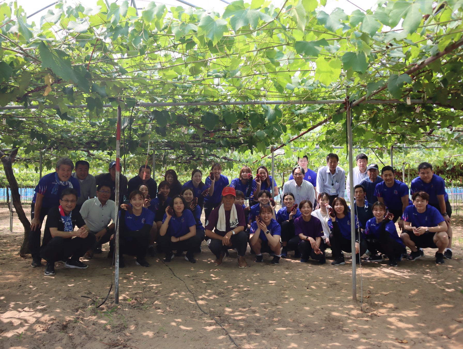 【初企画/能登の未来へ甘いエールを】のとじま水族館 × ANAクラウンプラザホテル金沢 復興支援コラボレーションスイーツ企画始動