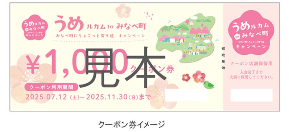 福島県二本松市の人気店「麺処 若武者」の濃厚鶏白湯が袋麺で登場！名店の味を再現した『味の店シリーズ』第9弾、7月18日発売