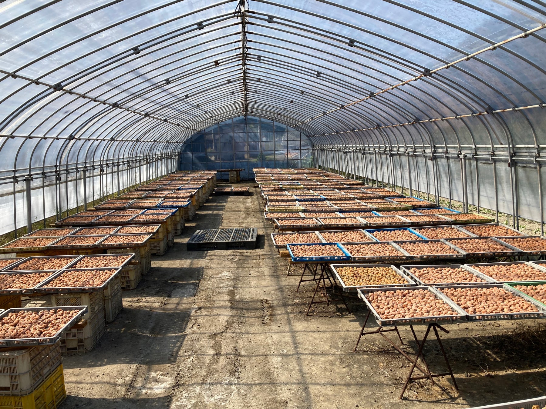 クラフトティーブランド「aardvark TEA」、東京に初の直営店舗をオープン