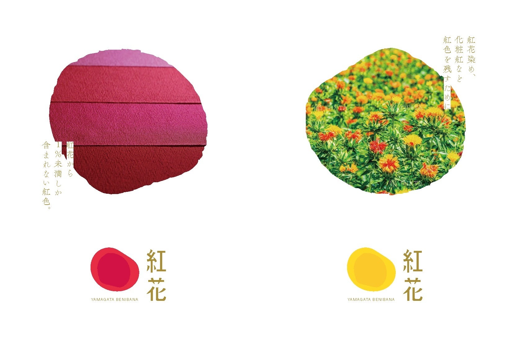 ホットドッグが政治参加のきっかけに！？下北沢の人気ホットドッグ店「SUNNY HOP」が『第27回参議院議員通常選挙』に合わせて“選挙割”を実施！