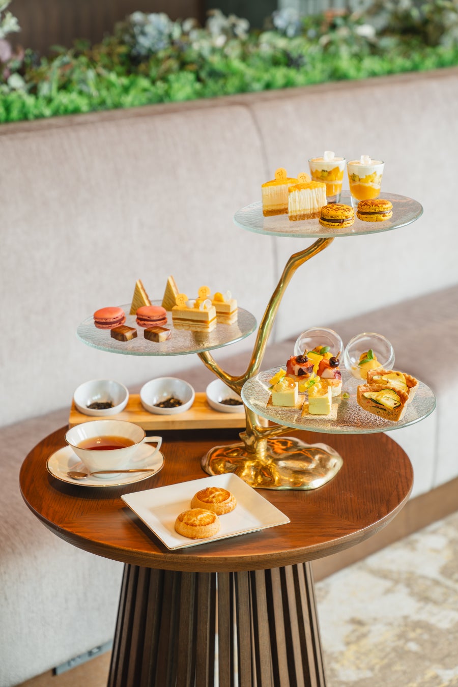 【料理人おまかせコース 4,800円→3,500円】『焼鳥IPPON+ Tokyo』オープン記念特価期間限定展開