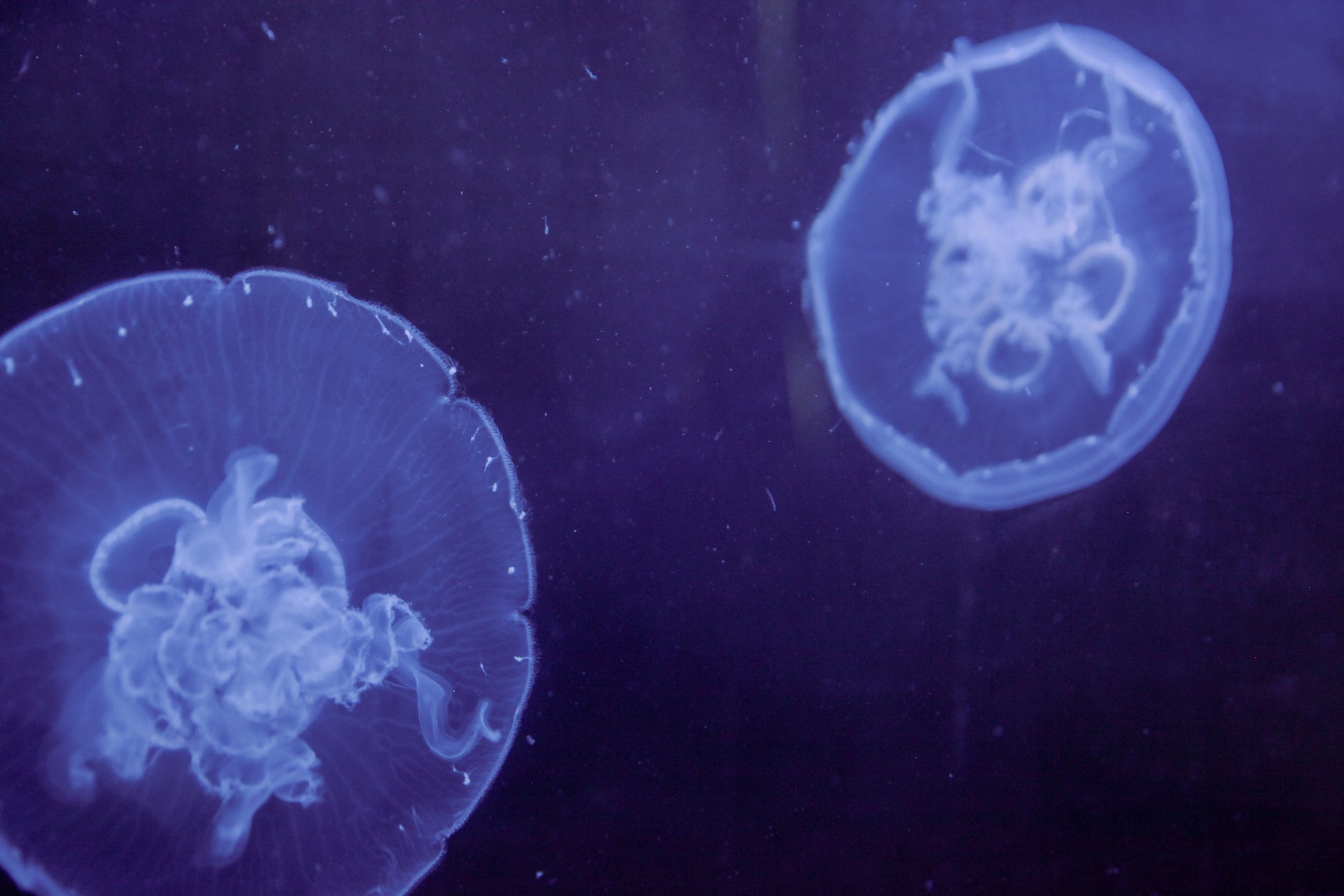 【10組20名様を無料ご招待♪】手軽で美味しい豆料理を作ろう！親子料理教室｜8/29（金）開催