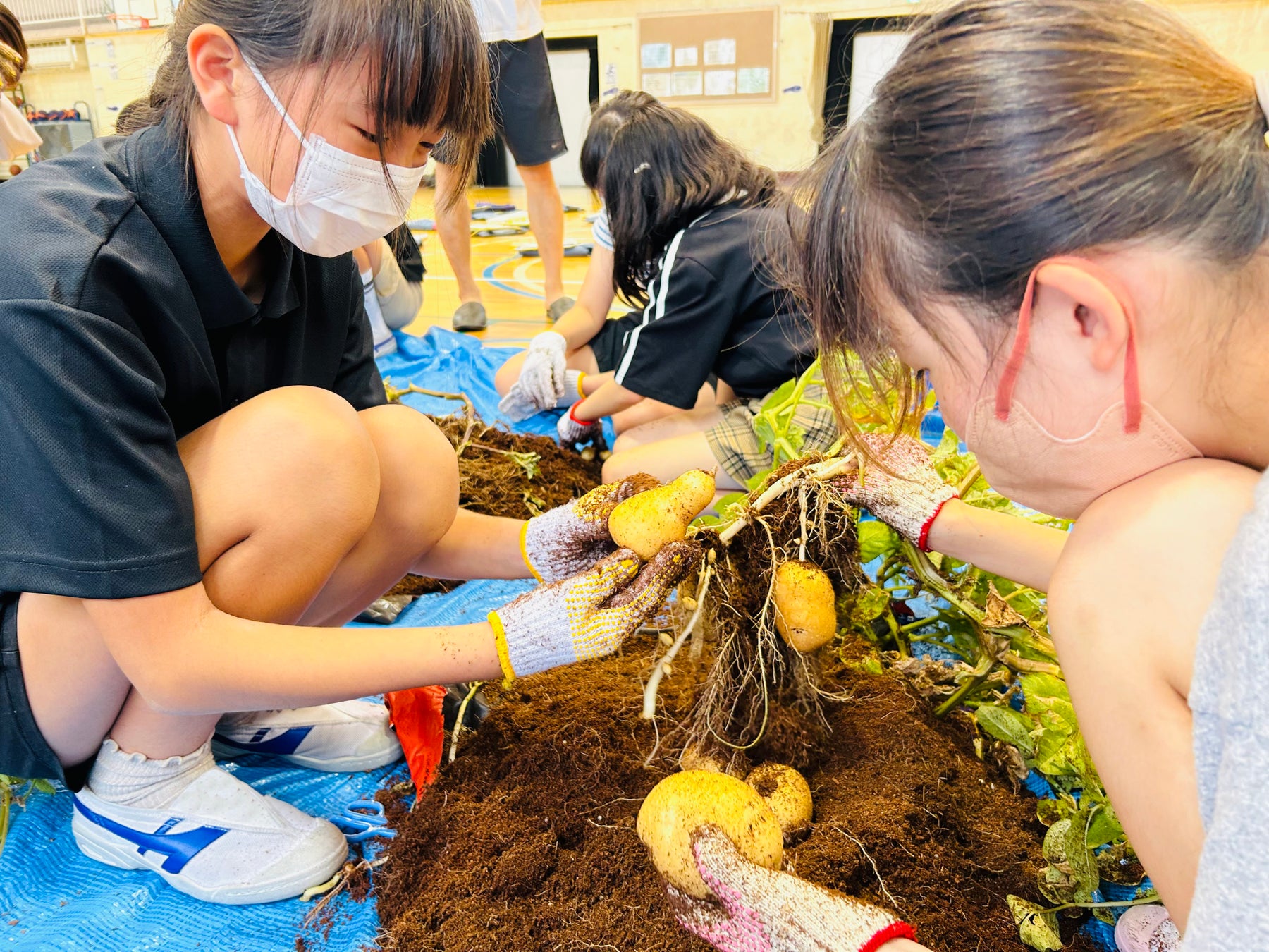 【６年連続 第1位】圧倒的人気を誇る絶品スイーツ「COCORIS(ココリス)」が、JR東京駅グランスタ東京「東京駅限定手土産(スイーツ)売上ランキング」で1位を受賞