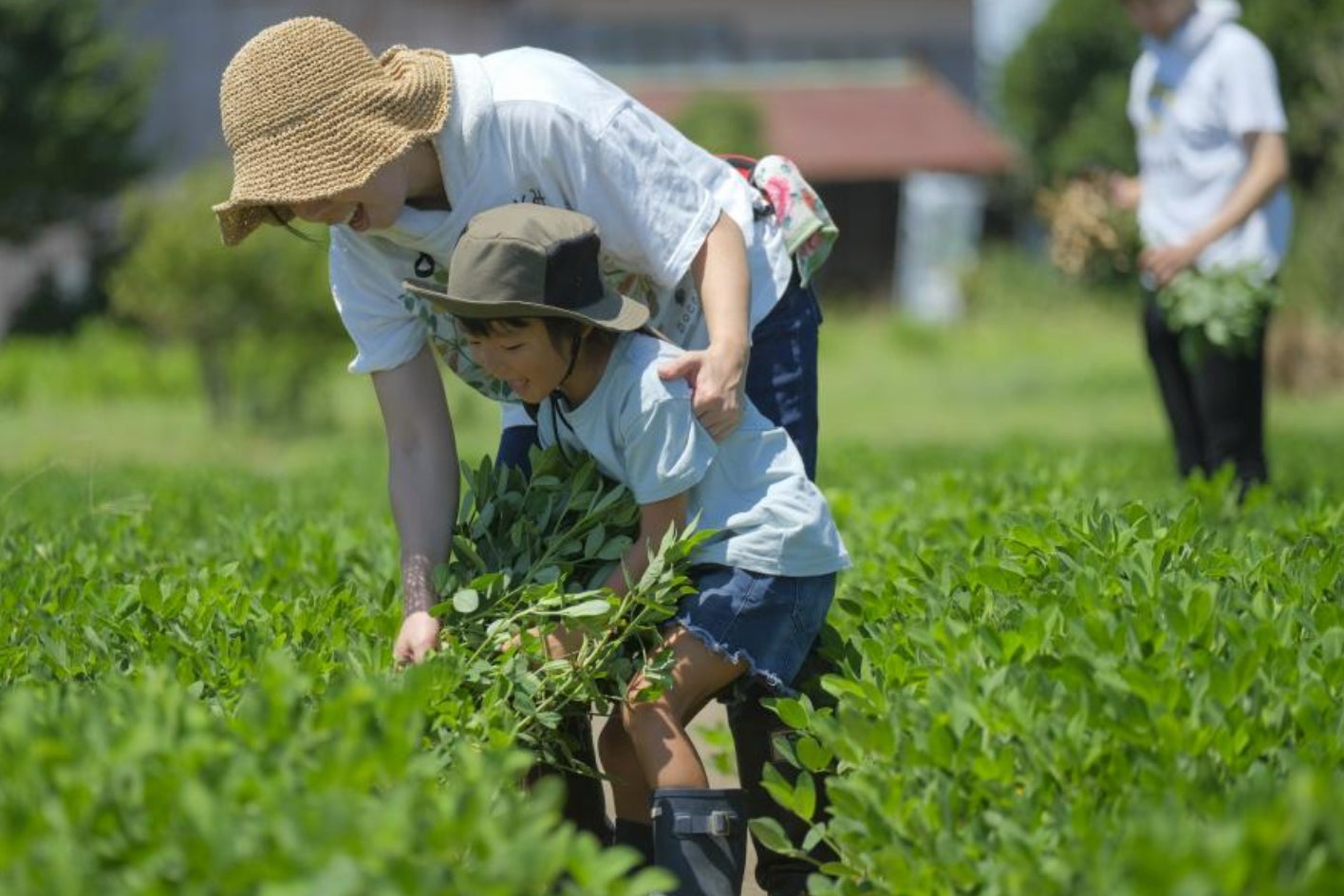パパっと簡単海鮮ばらちらし 2025年7月新発売
