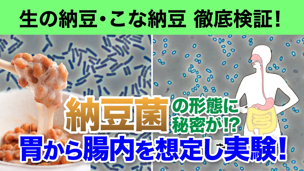 FRUITS ZIPPER、今年も「明治おかし大使」に！ 「NEW OKASHI PROJECT」２年目始動！ 新テーマは“チョコっといい日になぁれ”