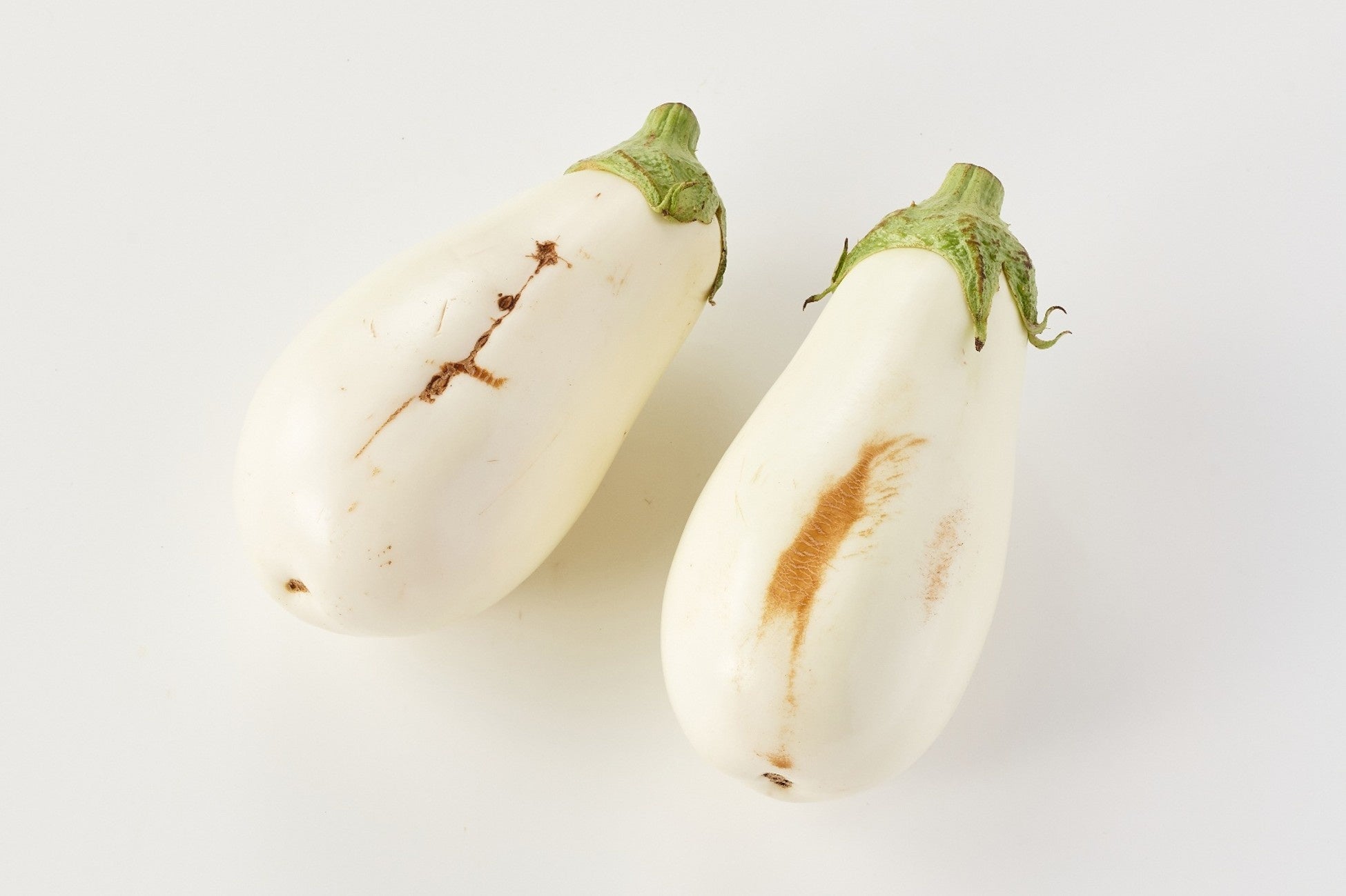 野菜たっぷり！冷たいたんめんで夏を乗り切る！横濱たんめんの元祖「横濱一品香」『冷製とり五目担担たんめん』が限定発売