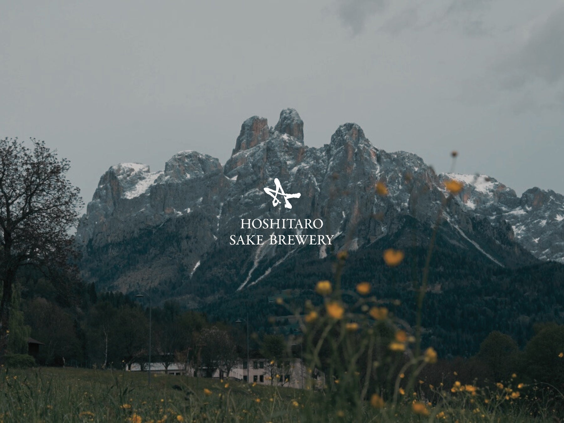 04 Limited Sazabysとポカリスエットの夏フェスムービーが、フェス会場のポカリブースと特設サイトで期間限定公開。