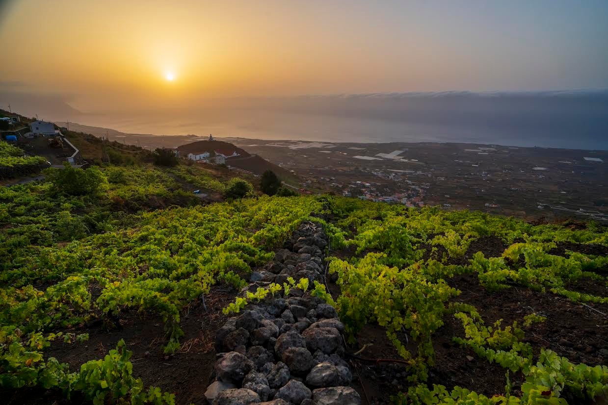 「YEBISU BREWERY TOKYO」でつくられた ここでしか飲めない夏の数量限定ビール 「宵涼し」7月9日(水)発売