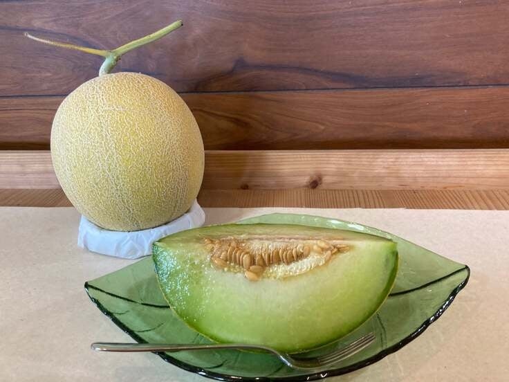 ホクト×「リュウジのバズレシピ」第二弾配信決定！至高のきのこカレー動画　7/5(土)より配信開始！